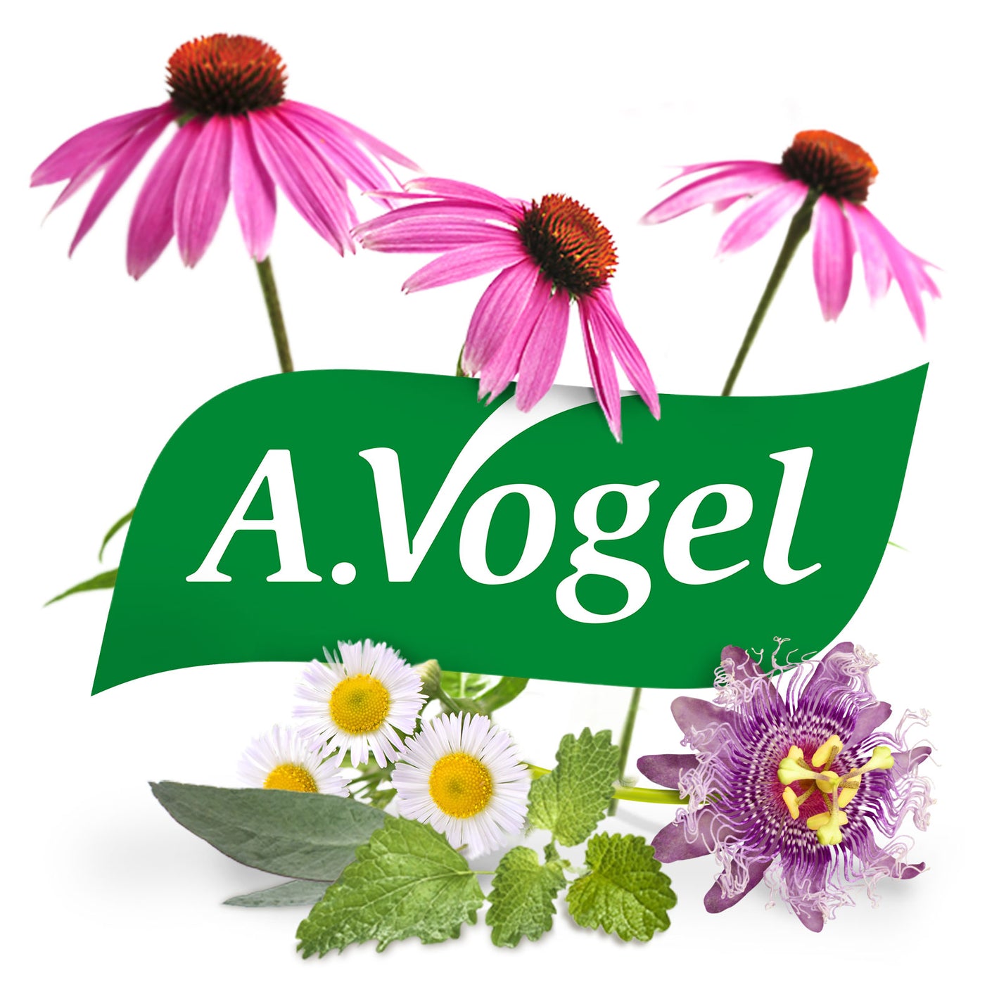 a.vogel