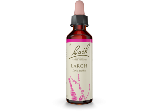 Bach Larch 20ml