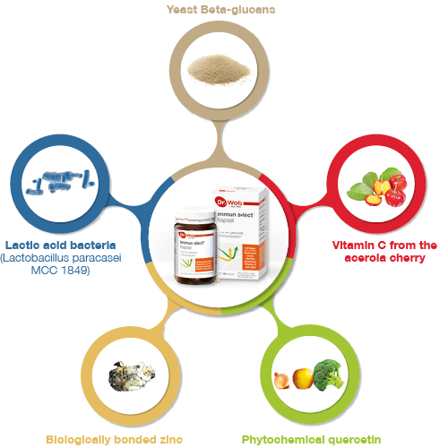 Dr Wolz immun Select 120 capsules
