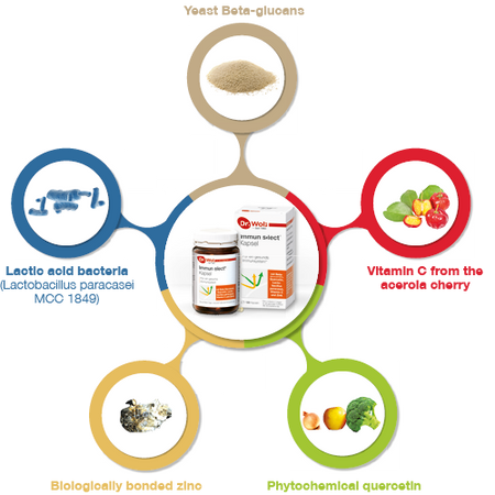 Dr Wolz immun Select 120 capsules