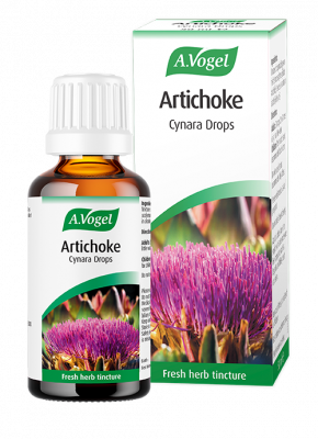 A.Vogel Artichoke Cynara 50ml - MicroBio Health